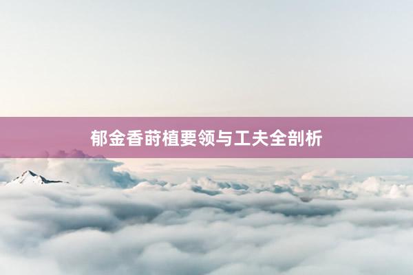 郁金香莳植要领与工夫全剖析