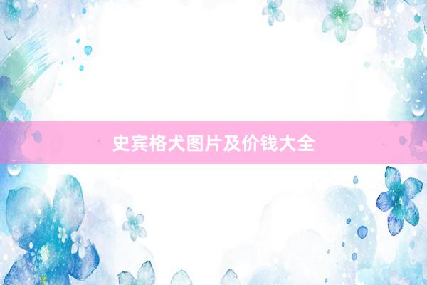史宾格犬图片及价钱大全