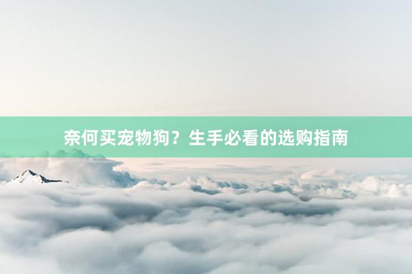 奈何买宠物狗?生手必看的选购指南